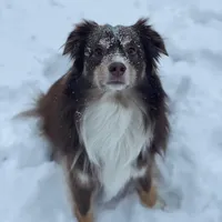 processed/26b2b8fb-286e-4c4a-a81b-a21abde623e0/facility/0db0d057-4205-4c1d-88dd-f403e0b3de9b