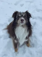 processed/26b2b8fb-286e-4c4a-a81b-a21abde623e0/facility/0db0d057-4205-4c1d-88dd-f403e0b3de9b