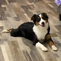 processed/26b2b8fb-286e-4c4a-a81b-a21abde623e0/facility/307b5a79-1591-40bc-b733-5d8eb2eb08b3