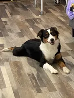 processed/26b2b8fb-286e-4c4a-a81b-a21abde623e0/facility/307b5a79-1591-40bc-b733-5d8eb2eb08b3