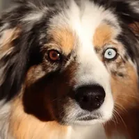 processed/26b2b8fb-286e-4c4a-a81b-a21abde623e0/facility/392bfafa-b2b5-4286-b856-c463a32f6ac2