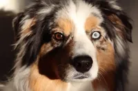 processed/26b2b8fb-286e-4c4a-a81b-a21abde623e0/facility/392bfafa-b2b5-4286-b856-c463a32f6ac2