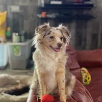 processed/26b2b8fb-286e-4c4a-a81b-a21abde623e0/facility/65e3faeb-5116-4447-872f-9a334f7fac6c