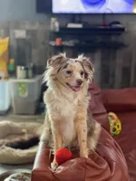 processed/26b2b8fb-286e-4c4a-a81b-a21abde623e0/facility/65e3faeb-5116-4447-872f-9a334f7fac6c