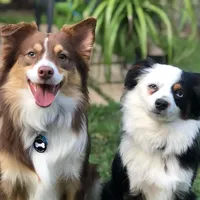 processed/26b2b8fb-286e-4c4a-a81b-a21abde623e0/facility/8dba8fb7-ad76-4a30-be36-924299430987