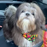 processed/26b2b8fb-286e-4c4a-a81b-a21abde623e0/facility/8e66c03a-8cbc-465e-9b81-84585826a074