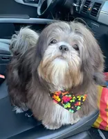 processed/26b2b8fb-286e-4c4a-a81b-a21abde623e0/facility/8e66c03a-8cbc-465e-9b81-84585826a074