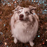 processed/26b2b8fb-286e-4c4a-a81b-a21abde623e0/facility/8f23a4bd-8feb-4fde-8d96-a8525e4027c1