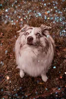 processed/26b2b8fb-286e-4c4a-a81b-a21abde623e0/facility/8f23a4bd-8feb-4fde-8d96-a8525e4027c1