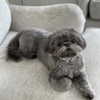 processed/26b2b8fb-286e-4c4a-a81b-a21abde623e0/facility/9a4453ac-8d66-4543-b87b-60749d000821