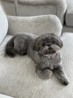 processed/26b2b8fb-286e-4c4a-a81b-a21abde623e0/facility/9a4453ac-8d66-4543-b87b-60749d000821