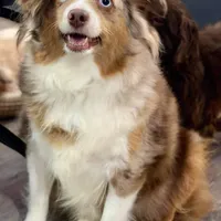 processed/26b2b8fb-286e-4c4a-a81b-a21abde623e0/facility/9b610446-2fdc-49ae-b57f-6e6960e12db7