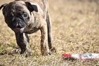 processed/26b2b8fb-286e-4c4a-a81b-a21abde623e0/listing/08b9d0d9-d4a8-431b-9465-af2ae113e911/020f1d7a-48fb-4bea-a819-a5bee09c501a