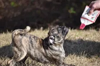 processed/26b2b8fb-286e-4c4a-a81b-a21abde623e0/listing/08b9d0d9-d4a8-431b-9465-af2ae113e911/0593e890-1535-45f8-872e-417901adb4a6