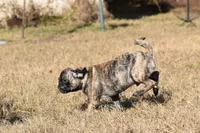 processed/26b2b8fb-286e-4c4a-a81b-a21abde623e0/listing/08b9d0d9-d4a8-431b-9465-af2ae113e911/1b8beda4-c2b4-4eb7-ac96-49d5ed10186d