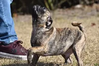 processed/26b2b8fb-286e-4c4a-a81b-a21abde623e0/listing/08b9d0d9-d4a8-431b-9465-af2ae113e911/459e6362-e4ee-4df8-9420-9cf4dbb2a634