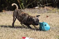 processed/26b2b8fb-286e-4c4a-a81b-a21abde623e0/listing/08b9d0d9-d4a8-431b-9465-af2ae113e911/9fff9663-033e-4dfb-a0b3-333e5f54190d