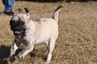 processed/26b2b8fb-286e-4c4a-a81b-a21abde623e0/listing/12950904-7eef-414f-8e48-86dd245b7c9c/300d777e-934b-444a-af74-7cda3f6af37d