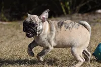 processed/26b2b8fb-286e-4c4a-a81b-a21abde623e0/listing/12950904-7eef-414f-8e48-86dd245b7c9c/624757d3-2ea3-47fd-bdfb-3c89ce70c4e5