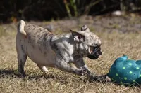 processed/26b2b8fb-286e-4c4a-a81b-a21abde623e0/listing/12950904-7eef-414f-8e48-86dd245b7c9c/b14884b6-8599-490b-a075-68ea582fd0a8