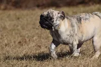 processed/26b2b8fb-286e-4c4a-a81b-a21abde623e0/listing/12950904-7eef-414f-8e48-86dd245b7c9c/c81fbbc4-fc19-4081-aa79-3e951f1fe70f