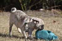 processed/26b2b8fb-286e-4c4a-a81b-a21abde623e0/listing/12950904-7eef-414f-8e48-86dd245b7c9c/f0c24da6-0dc9-47e0-95dd-7068c0ad15e4