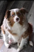 processed/26b2b8fb-286e-4c4a-a81b-a21abde623e0/listing/1dc9cb51-a9f1-4c91-b8cc-167fac07cc97/888681ff-bd17-449c-919e-adc560b3ff47