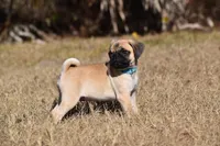 processed/26b2b8fb-286e-4c4a-a81b-a21abde623e0/listing/2a1b574a-4009-4264-826b-441ec15f8d64/22441b38-571d-4f08-b861-d42804763633