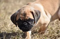 processed/26b2b8fb-286e-4c4a-a81b-a21abde623e0/listing/2a1b574a-4009-4264-826b-441ec15f8d64/3c0e6a29-6d3d-46cd-bd20-927fce206314