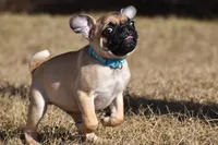 processed/26b2b8fb-286e-4c4a-a81b-a21abde623e0/listing/2a1b574a-4009-4264-826b-441ec15f8d64/5fe2a632-f959-4e7b-ab77-6b617681eab1