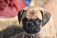 processed/26b2b8fb-286e-4c4a-a81b-a21abde623e0/listing/2a1b574a-4009-4264-826b-441ec15f8d64/70425a12-c3d9-46e7-9bb6-558632053b12