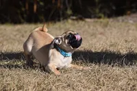 processed/26b2b8fb-286e-4c4a-a81b-a21abde623e0/listing/2a1b574a-4009-4264-826b-441ec15f8d64/8aa8b90a-ec81-4637-af52-f85129c49d26