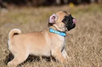 processed/26b2b8fb-286e-4c4a-a81b-a21abde623e0/listing/2a1b574a-4009-4264-826b-441ec15f8d64/8c3315f3-3463-42b9-bf92-50c21bc915fd