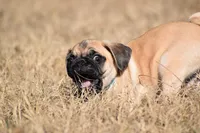 processed/26b2b8fb-286e-4c4a-a81b-a21abde623e0/listing/2a1b574a-4009-4264-826b-441ec15f8d64/a475dd72-1497-441e-8e6d-c55753b33bfa