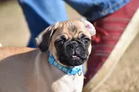 processed/26b2b8fb-286e-4c4a-a81b-a21abde623e0/listing/2a1b574a-4009-4264-826b-441ec15f8d64/c7600226-2204-4c18-b8e2-3e2a14447644