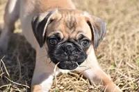 processed/26b2b8fb-286e-4c4a-a81b-a21abde623e0/listing/2a1b574a-4009-4264-826b-441ec15f8d64/d4a8fb91-6588-43c3-85de-c5d2287112e7