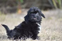 processed/26b2b8fb-286e-4c4a-a81b-a21abde623e0/listing/718e29f0-3155-4e3d-8778-48ba00ee1b87/29060780-527f-41a4-ba19-1efa25fdb8d6