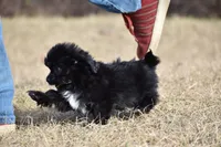 processed/26b2b8fb-286e-4c4a-a81b-a21abde623e0/listing/718e29f0-3155-4e3d-8778-48ba00ee1b87/8f4f2143-f754-49b7-abaf-ff0ed399fca7