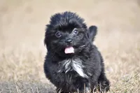 processed/26b2b8fb-286e-4c4a-a81b-a21abde623e0/listing/718e29f0-3155-4e3d-8778-48ba00ee1b87/90d07d3d-d2d1-42c9-9ec6-0c6d1a41fe12