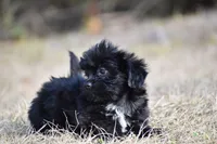 processed/26b2b8fb-286e-4c4a-a81b-a21abde623e0/listing/718e29f0-3155-4e3d-8778-48ba00ee1b87/caa147e9-85b3-4914-aef1-e54fe4435dd8