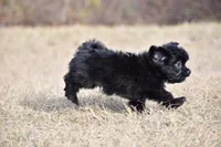 processed/26b2b8fb-286e-4c4a-a81b-a21abde623e0/listing/718e29f0-3155-4e3d-8778-48ba00ee1b87/e270b983-fcc8-48b4-b71e-a4084bd57fbf