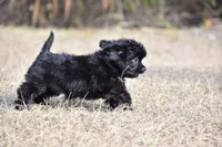 processed/26b2b8fb-286e-4c4a-a81b-a21abde623e0/listing/718e29f0-3155-4e3d-8778-48ba00ee1b87/f8cadab7-0209-4937-863b-4e84e50c2448