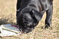 processed/26b2b8fb-286e-4c4a-a81b-a21abde623e0/listing/aba3518b-6601-4c5b-9bbb-69010730080d/0281d629-d7bb-4b18-8413-e10bb95ce335