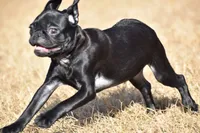 processed/26b2b8fb-286e-4c4a-a81b-a21abde623e0/listing/aba3518b-6601-4c5b-9bbb-69010730080d/6ec49990-5a56-4eac-8871-9524c25856d0