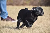 processed/26b2b8fb-286e-4c4a-a81b-a21abde623e0/listing/aba3518b-6601-4c5b-9bbb-69010730080d/9c702e61-0026-448c-a8cd-d89f6b40b877