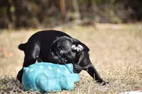 processed/26b2b8fb-286e-4c4a-a81b-a21abde623e0/listing/aba3518b-6601-4c5b-9bbb-69010730080d/9e8f9d74-03d3-420a-a1e9-717d59feafa6