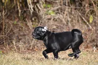 processed/26b2b8fb-286e-4c4a-a81b-a21abde623e0/listing/aba3518b-6601-4c5b-9bbb-69010730080d/a459389a-52fe-4757-89a2-e511e32531e4