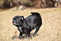 processed/26b2b8fb-286e-4c4a-a81b-a21abde623e0/listing/aba3518b-6601-4c5b-9bbb-69010730080d/de2e39be-eed7-4192-a517-c9922296f9a6