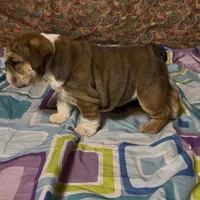 processed/26ba07d8-0007-448f-bb17-b717489d6120/listing/c12b5e40-16d7-4c26-863a-666a5fd6addd/8dd202ff-c5d3-4f83-aa90-d3f5bc9a3914