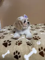 processed/26d39116-d997-49a2-b3b5-33e4c3d5a167/listing/1253ce77-40fc-4be5-b13c-883760376720/5978629b-19b3-45fd-9b4e-6a9d9242313d